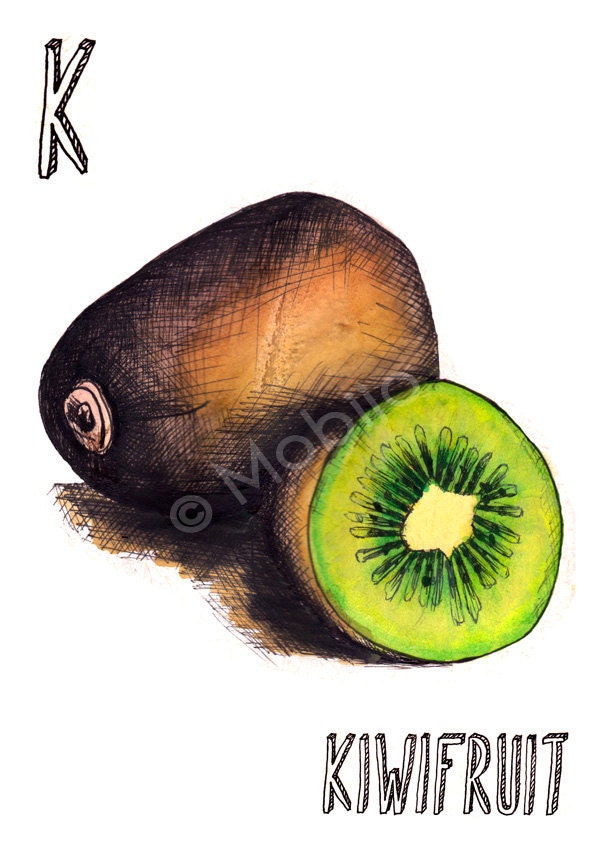 Vegetable fruit illustrations- ink and watercolor print-hand rendered type choose your print-kiwi, iceberg lettuce, jicama or lemon
