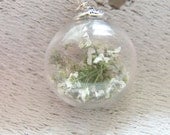 Real Flower Necklace, Hand Blown Glass Orb,  Globe Necklace, White Baby's Breath, Flower Jewelry