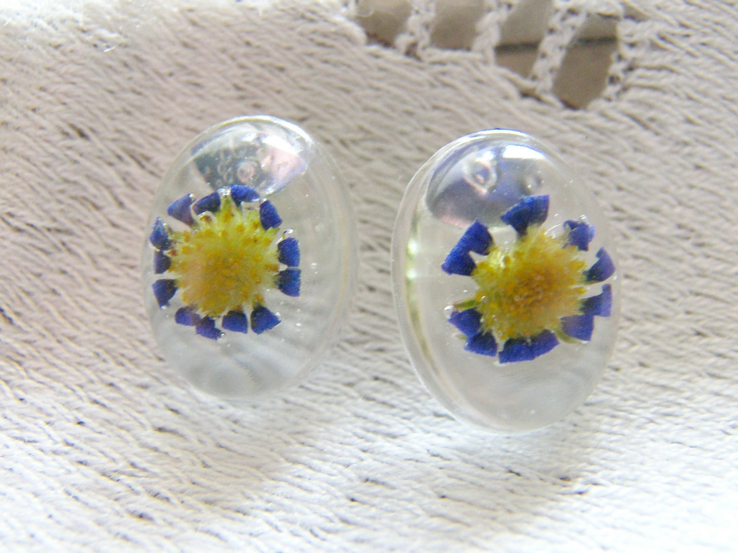Blue Daisy Flower Earrings, Real Flower Earrings, Pressed Flower, Nature, Botanical
