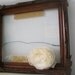 Chestnut Brown Carved Antique Wooden Leaf Frame
