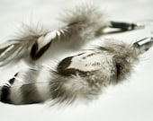 Feather Dangle Earrings - Tribal Boho Chic Native American Inspired Primitive Urban Summer Fashion Gift For Her