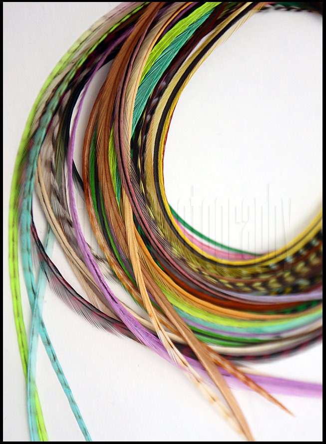 Light Hair Feather Extensions Wholesale Bulk by featherswholesale