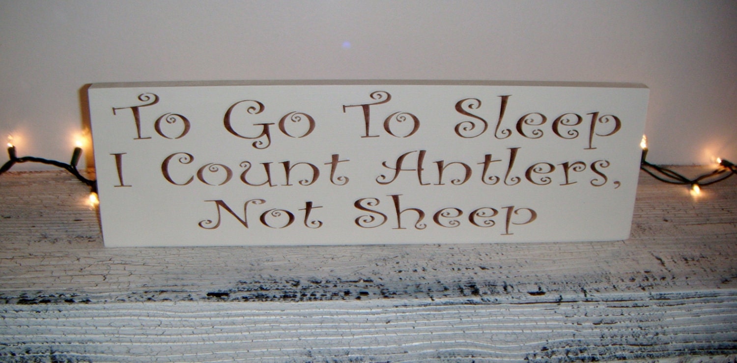 Baby Boy's Nursery, Rustic nursery, Cabin Decor - "To Go To Sleep, I Count Antlers, Not Sheep"