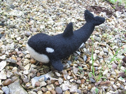 Orca, needle felted killer whale
