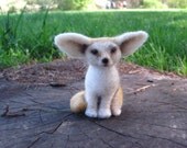 Fennec fox