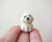 Tiny needle felted bichon