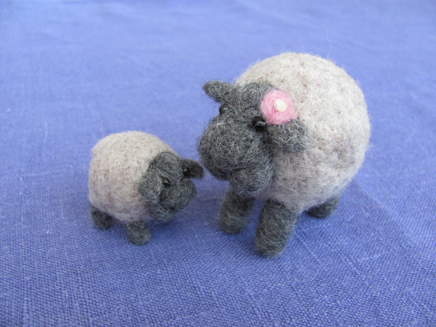 Mama and baby sheep