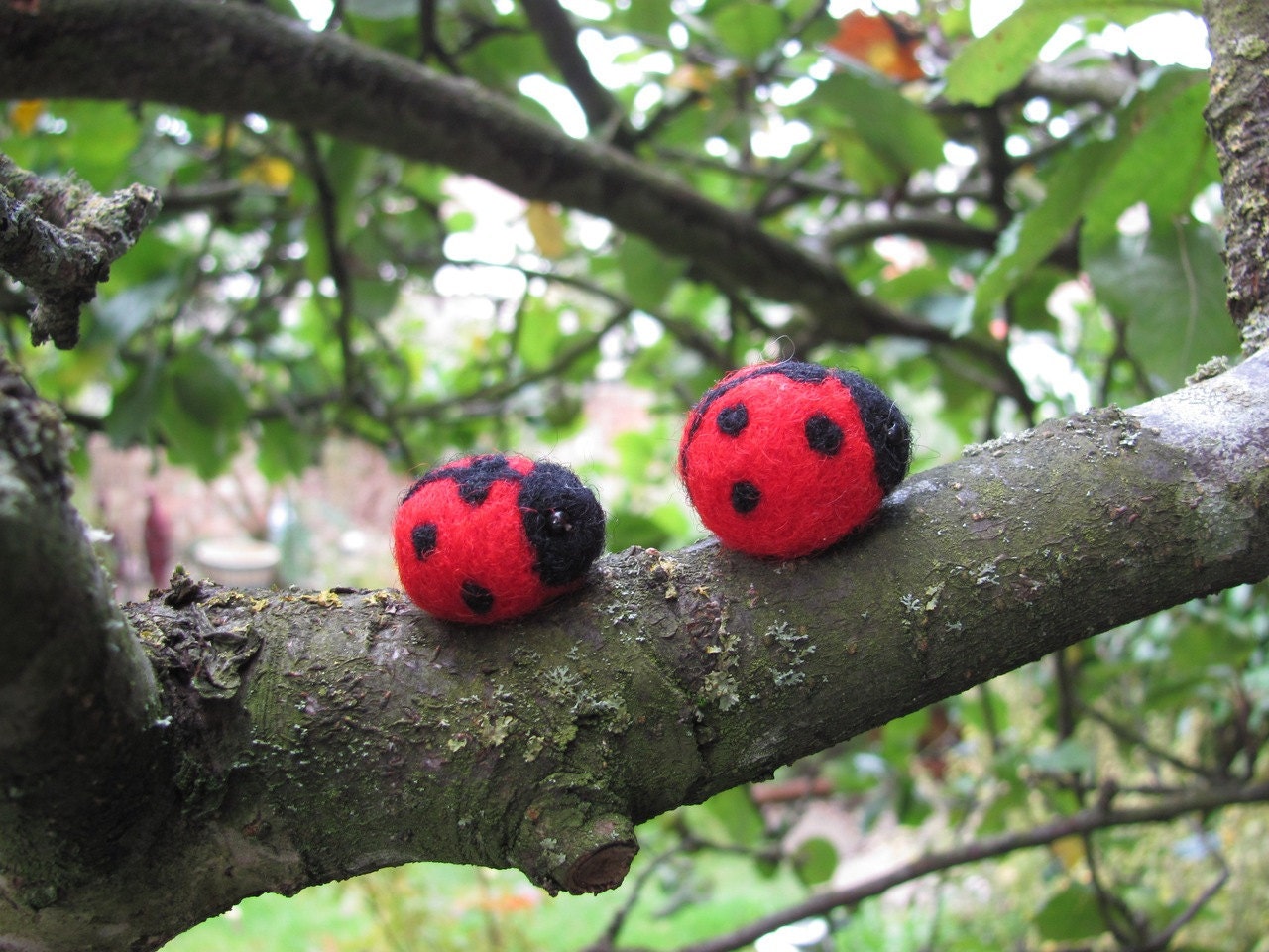 two tiny ladybugs