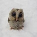 Baby owl needle felted bird
