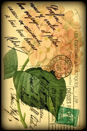 Digital Mixed Media Art: Vintage Flower 106, 8x10 print - Folk Art, Vintage art, postcard art, botanical art, flower art, pink, hydrangea