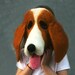Needle felted hound dog mask
