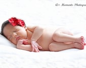 Hydrangea Flower Headband