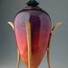 Amaranth Crimson Vessel