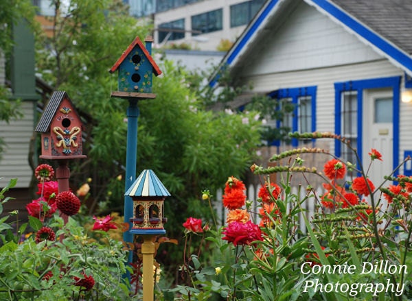 Hugo's Writers Cottages: 8.5 x 11 Color  Photograph - garden - bird houses - colorful - bright - spring - blue  white - fine art photography