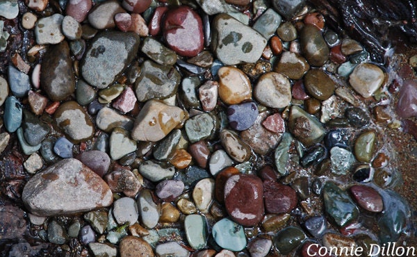 Stream Stones Mosaic, 8.5 x 11 Color Photograph - river rocks - earth tones - wet stones - rocks - creek - Montana - fine art photography