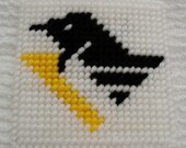 Pittsburgh Penguins' Magnet