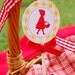 Printable Red Riding Hood Picnic Party Birthday Collection- Set by Fara Party Design
