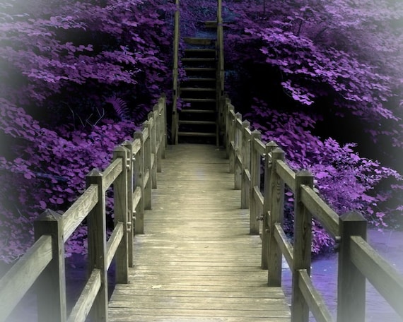 Photo Photograph - TROLL BRIDGE - 8x10 Fine Art Photography - Purple Brown Nature