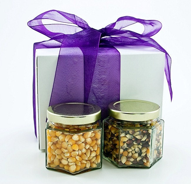 Gourmet popcorn sampler - old fashioned popping corn - colored popcorn kernels for foodie gift - with snack bags, gift box, recipes