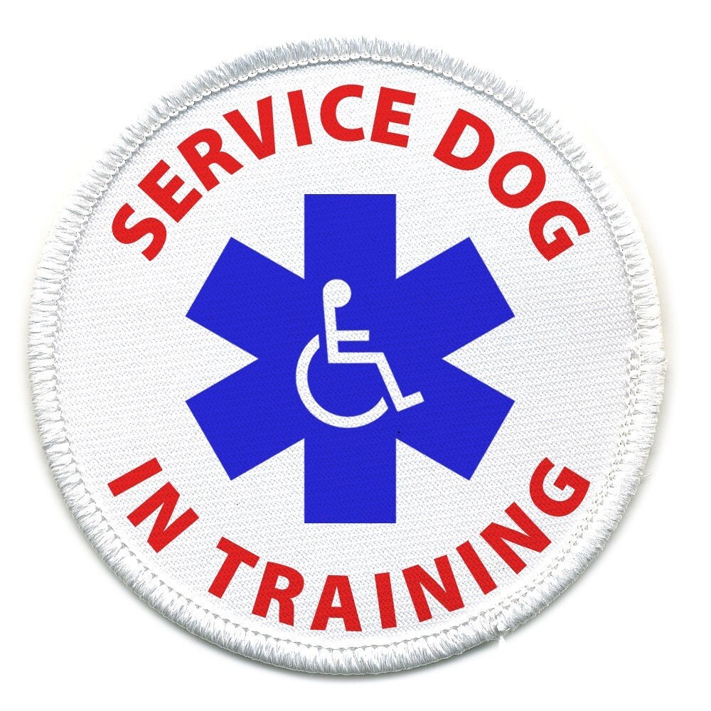 Items similar to Service Dog In Training Assistance Animal Vest or