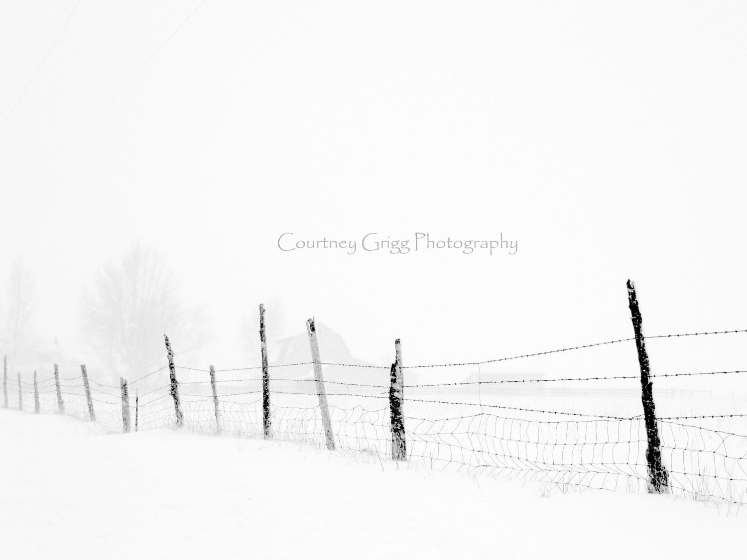 Winter Series Photography Cards (set of 4 blank note cards) -snow, tree, moon, buffalo, fence, mountains- FREE SHIPPING