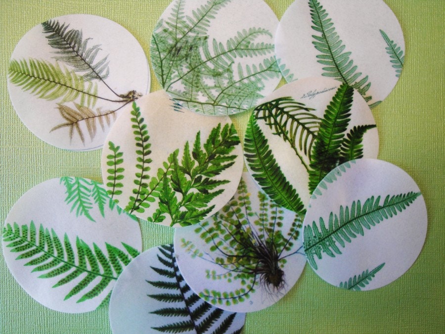 Botanical Fern Edible Image Wafer Papers - cookies, cakes, cupcakes, chocolates