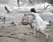 Taming the Sea Bird Part II 5x7 Inch Fine Art Print