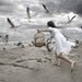Taming the Sea Bird Part II 5x7 Inch Fine Art Print