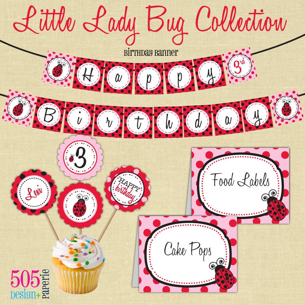 Ladybug Party Decorations | Leopard Prints