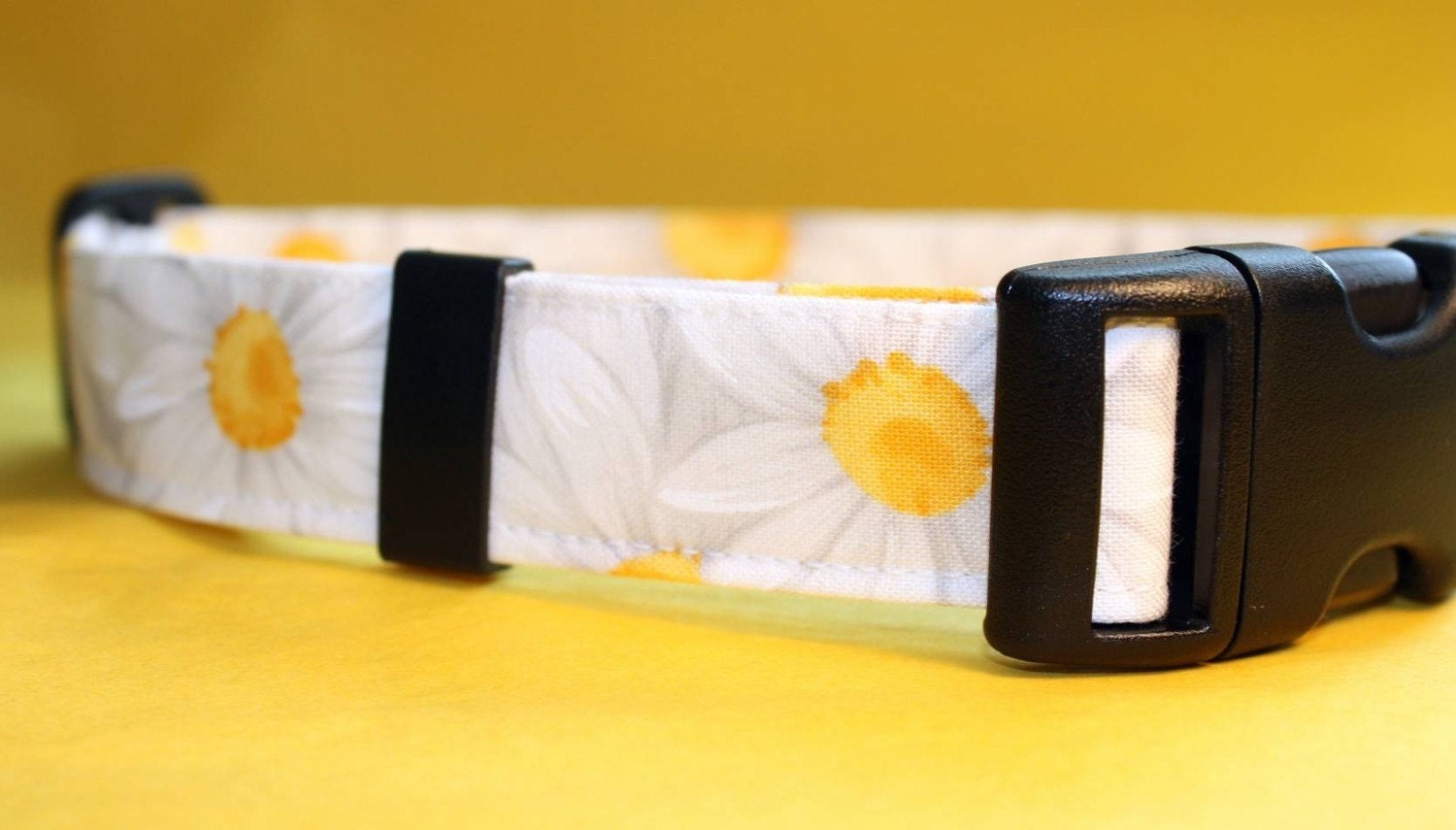 Daisies for Daisy Collar