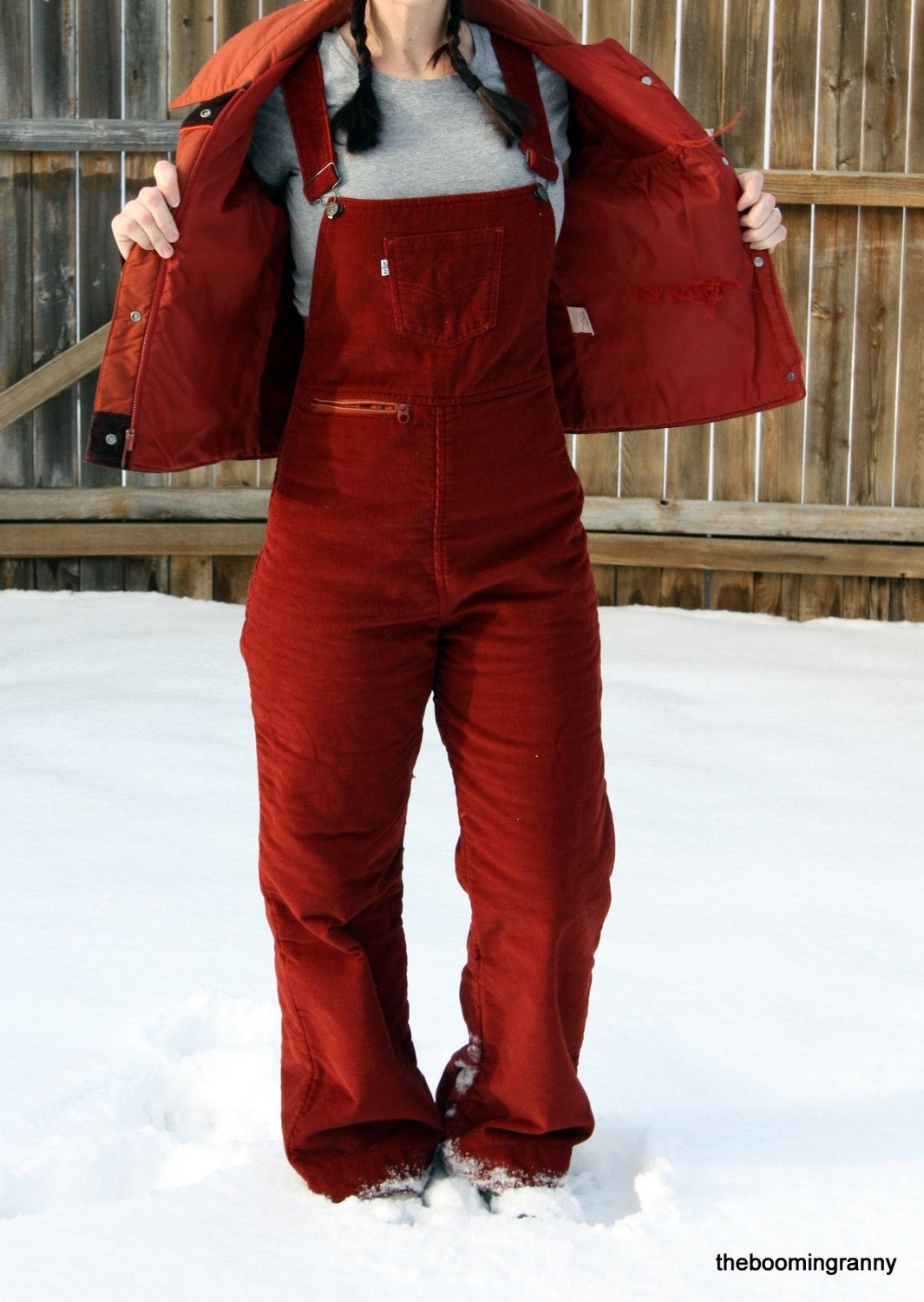 Levis Snowboard Pants