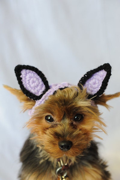Knit Headband - Light Purple Cat or Rabbit Ears for Dogs
