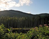 Adirondack Beauty - View of the river and mountains in the Lake Placid Region - 8 1/2 x 11 Fine Art Print