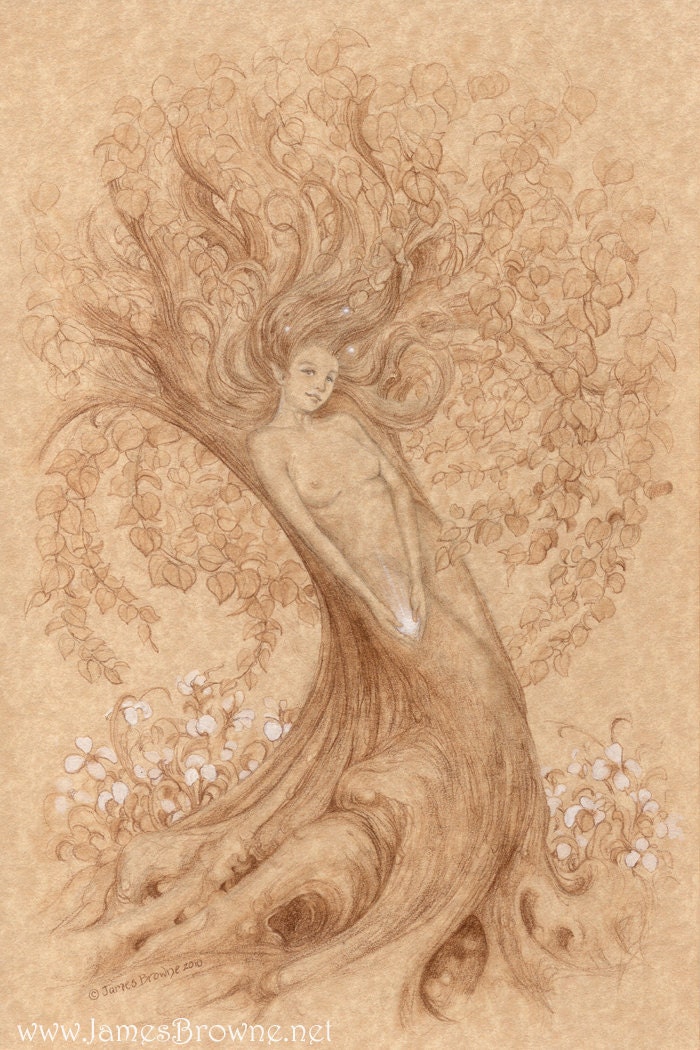 Tree Dryad 7x10 Giclee Print Illustration