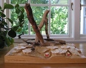 Woodworking Art Carved Wild Strawberries