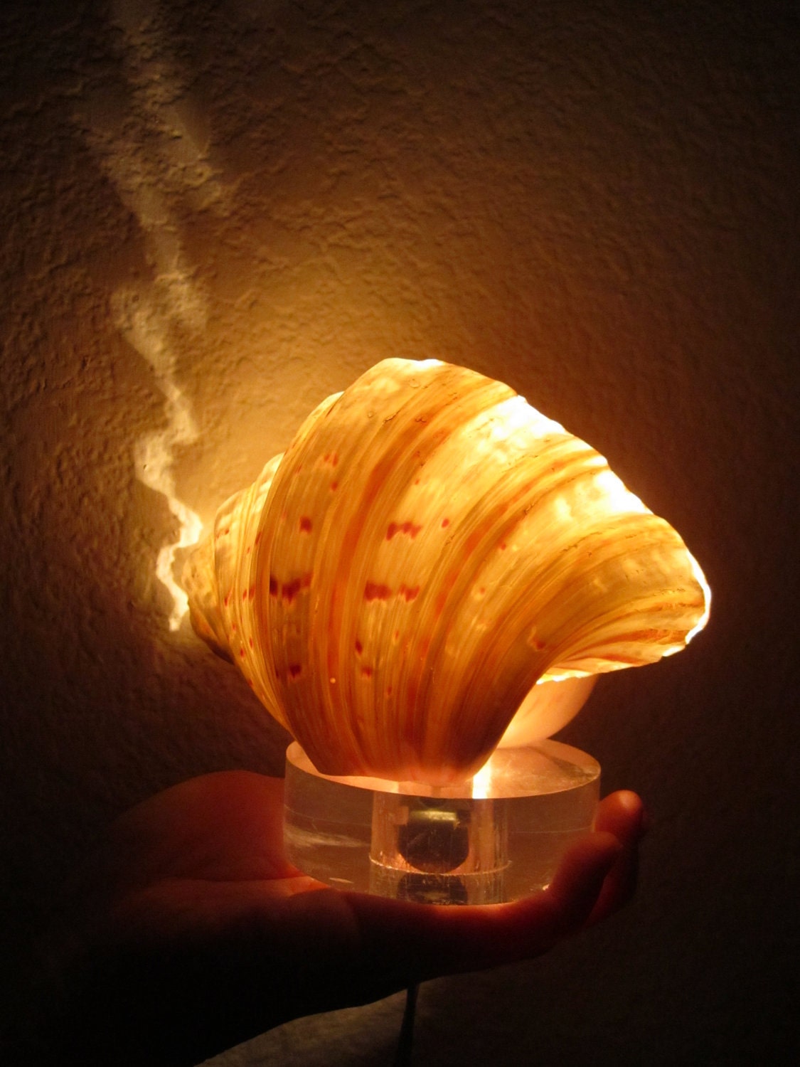 Large Seashell Night Light Lamp by simplychi on Etsy