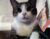 YoYo The Cat Giclee Print of Our Feline Son, Textured Watercolor Photograph