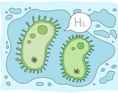 Paramecium Greeting Card, Science, Protozoa, Hi, Blank, 5x7, Blue and Green, Unusual, Weird
