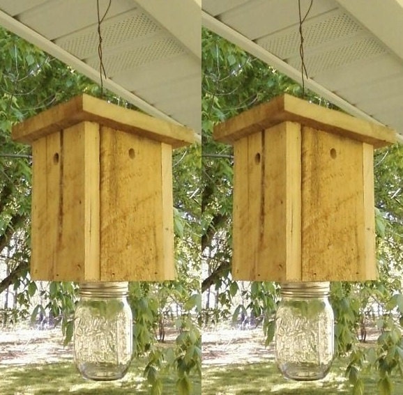 Carpenter Bee Trap Plans Free