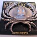 Jonette Jewelry Vintage Crab Pin