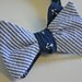 Seersucker and Anchors Bow Tie