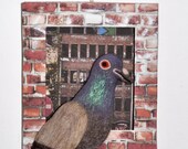 SALE Pigeon Brooch with Wall Mountable Box FrameSPECIAL OFFER