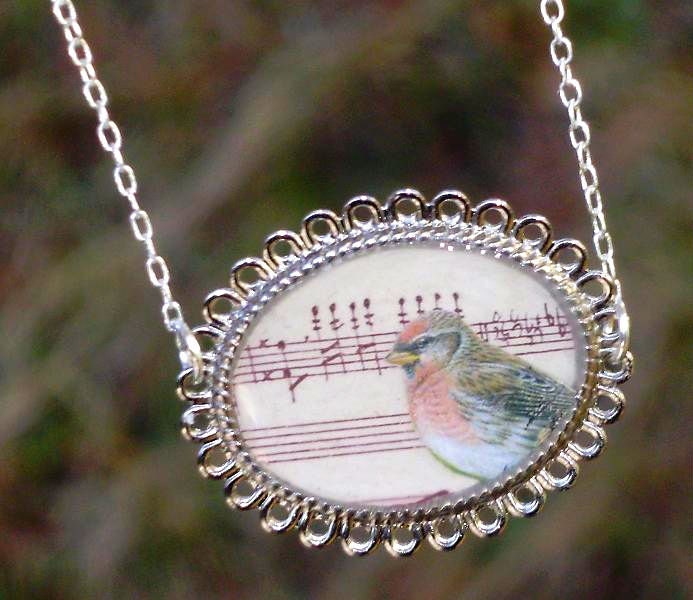 Note for bird