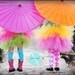 paisleyandposies