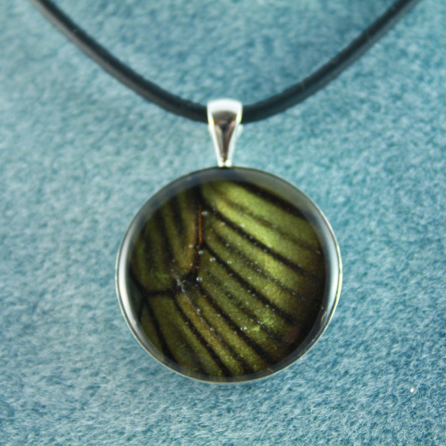 Real Butterfly Wing Pendant