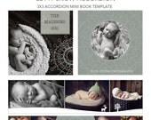 LET IT SNOW -- 3x3 Accordion Mini Book Template for Photographers