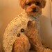 Dog Sweater - Basket Weave Button Down - Oatmeal Tweed - Hand Knit - Medium