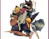 Glowing golds, warm browns, deep red, "AUTUMN", fine art, seasons, edited photo scan, 11x14" Giclee print