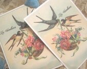 Shabby French Bird Gift Tags No 35 - Vintage - Paris - Les Swallows - Spring Birds - Floral - Roses - Glitter - Buy Three Get One Free