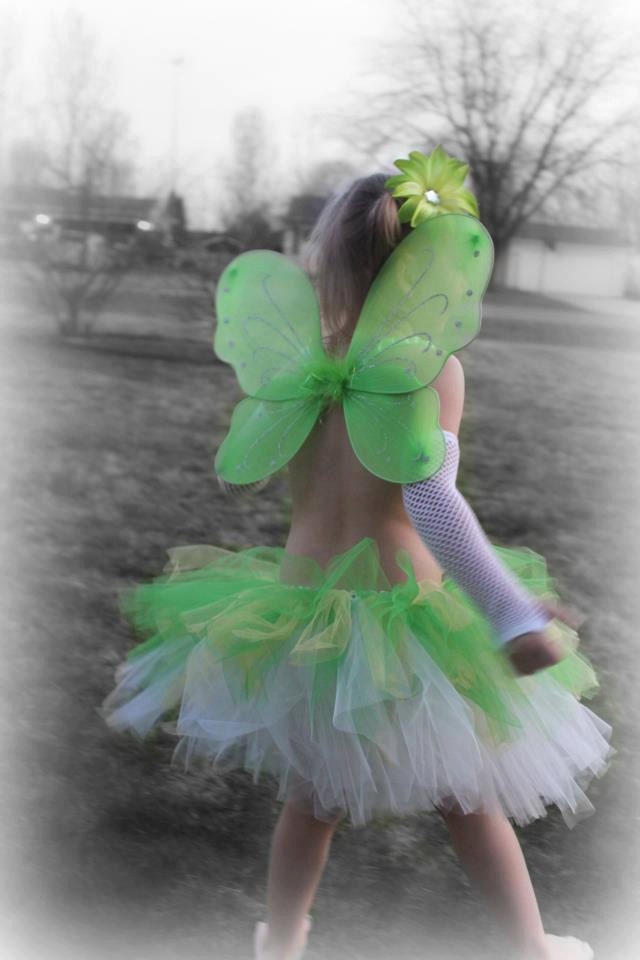 Flower Girl, Birthday Tutu and Wing Set